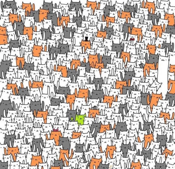 Foto - Sosyal medyada beyin yaktı! Herkes bu mantık sorusunu çözemiyor