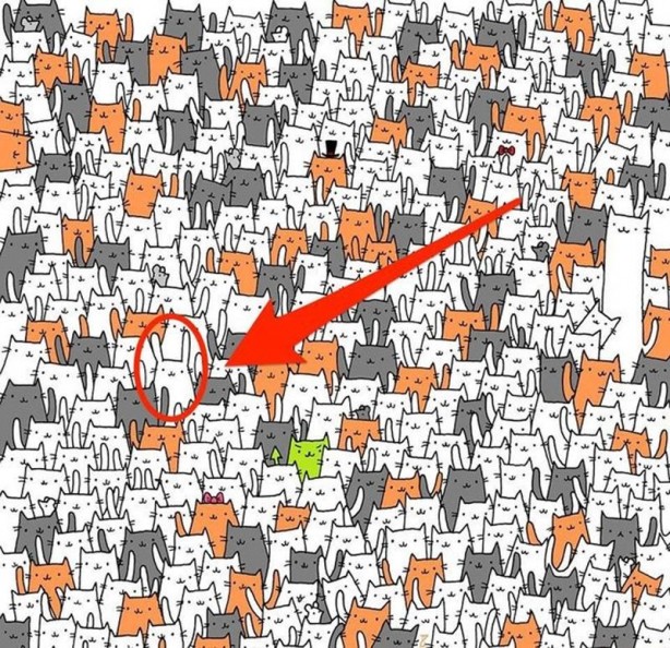 Foto - Sosyal medyada beyin yaktı! Herkes bu mantık sorusunu çözemiyor