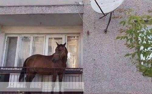 Foto - Sosyal medyada kırıp geçiren görüntüler