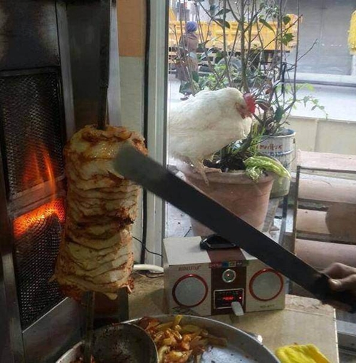 Foto - Sosyal medyada kırıp geçiren görüntüler