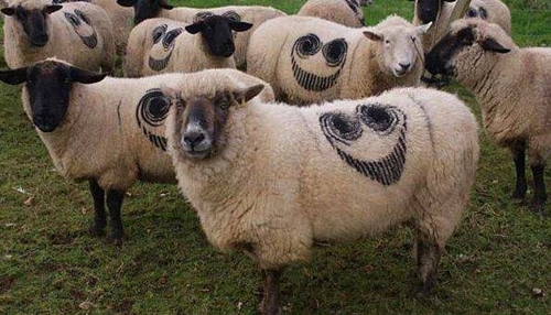 Foto - Sosyal medyada kırıp geçiren görüntüler