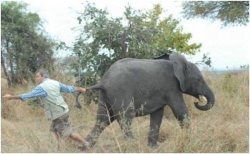 Foto - Sosyal medyada kırıp geçiren görüntüler
