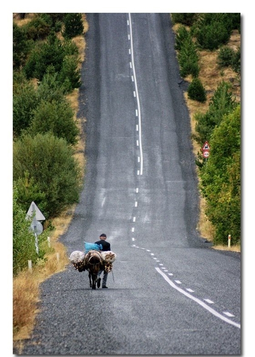 Foto - Sosyal medyada kırıp geçiren görüntüler