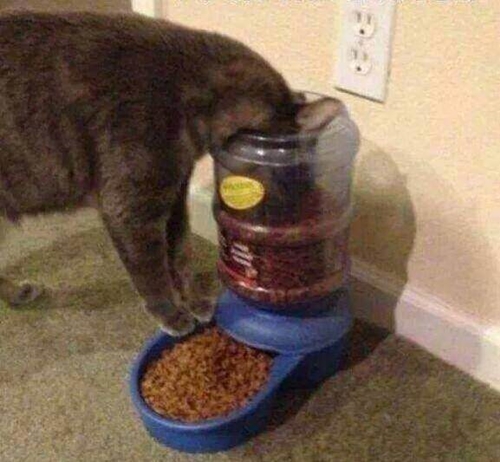 Foto - Sosyal medyada kırıp geçiren görüntüler