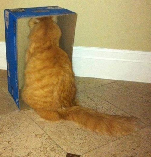 Foto - Sosyal medyada kırıp geçiren görüntüler