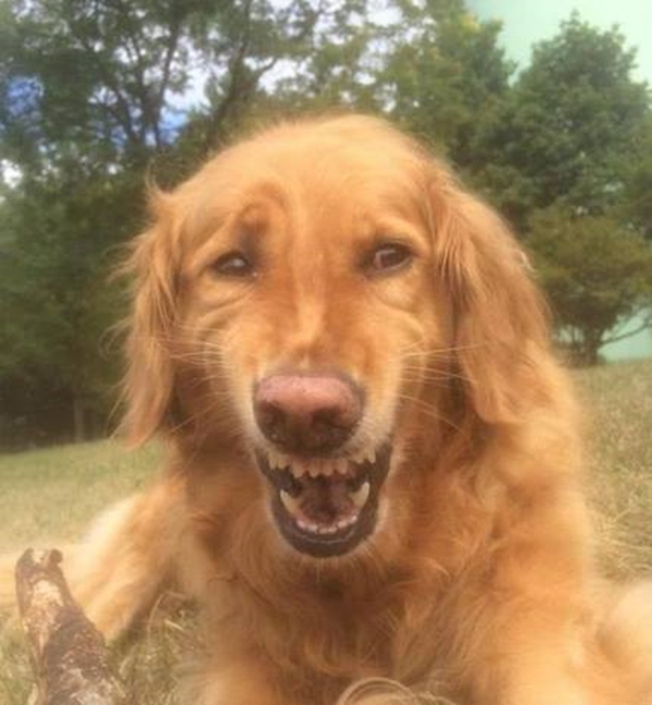 Foto - Sosyal medyada paylaşım rekoru kıran görseller