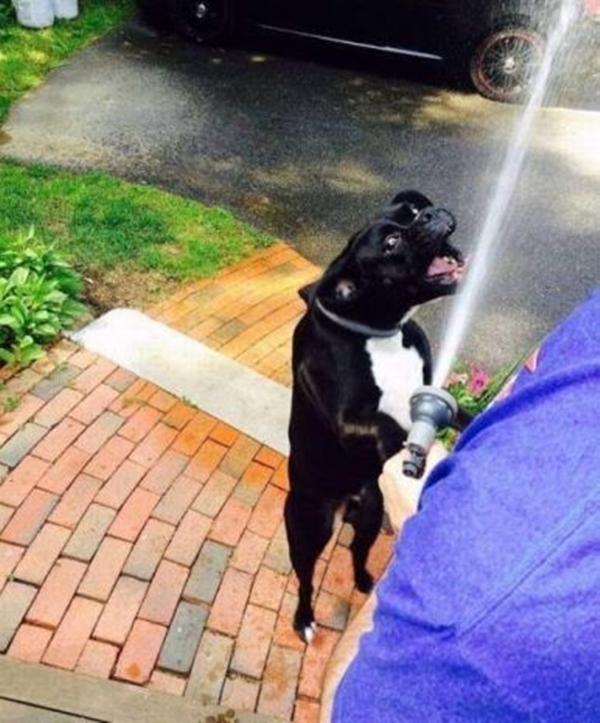 Foto - Sosyal medyada paylaşım rekoru kıran görseller