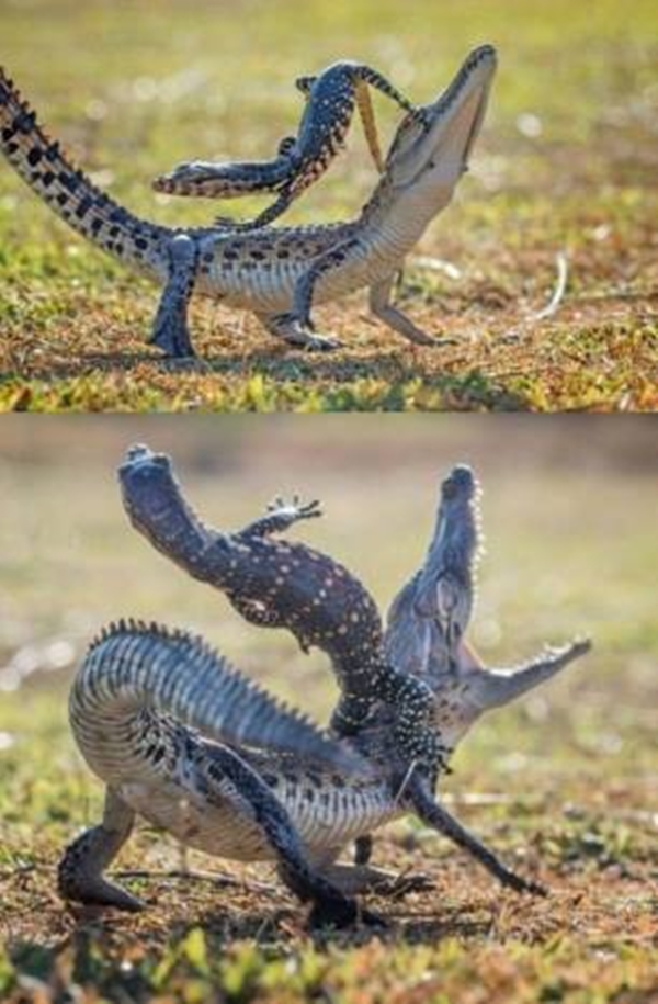 Foto - Sosyal medyada paylaşım rekoru kıran görseller