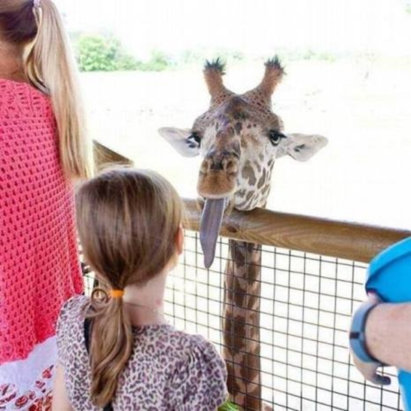 Foto - Sosyal medyada paylaşım rekoru kıran görseller