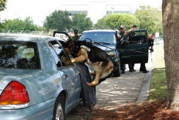 Foto - Sosyal medyada paylaşım rekoru kıran görseller