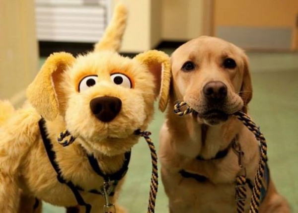 Foto - Sosyal medyada paylaşım rekoru kıran görseller