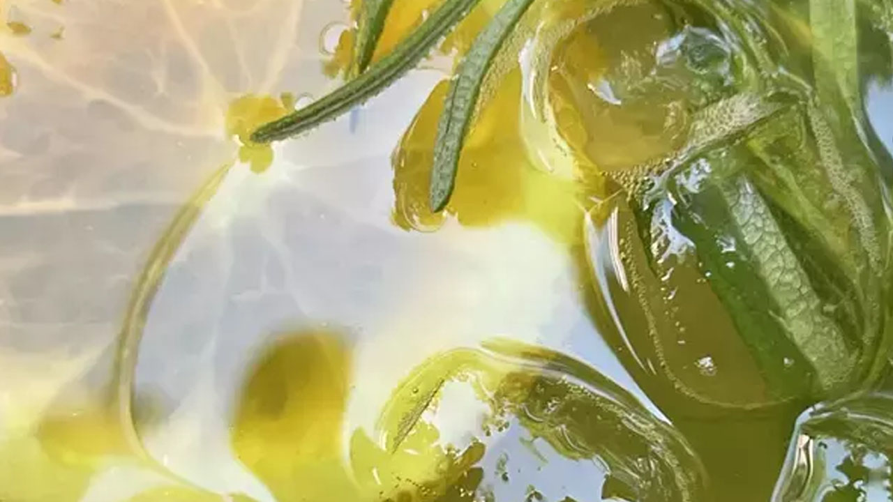 Sosyal medyada popüler oldu: Matcha çayı gerçekten zayıflatıyor mu?