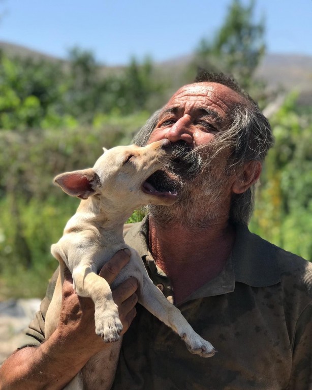 Foto - Sosyal medyada yayılıyor! Bu köpeği bulana 100 bin TL