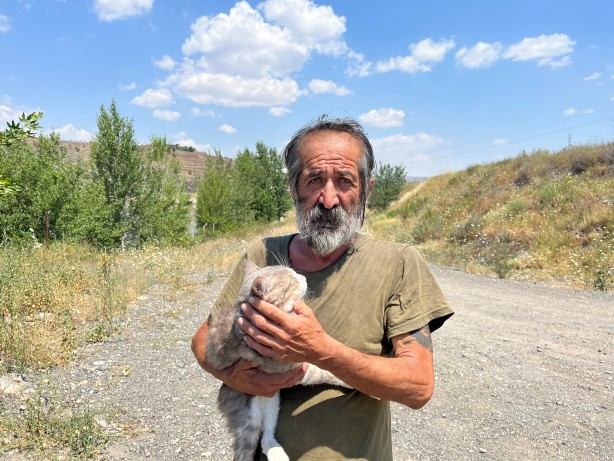 Foto - Sosyal medyada yayılıyor! Bu köpeği bulana 100 bin TL