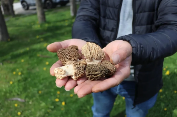 Foto - Sosyal medyaya damga vurdu! 3 arkadaşa zeybek oynatan besin