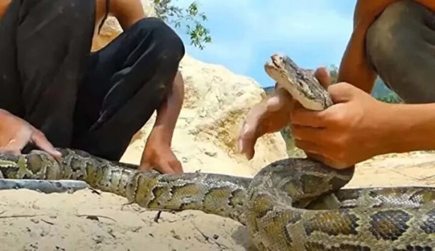 Foto - Sosyal medyayı sallayan anlar! Tavuğun inanılmaz mücadelesi