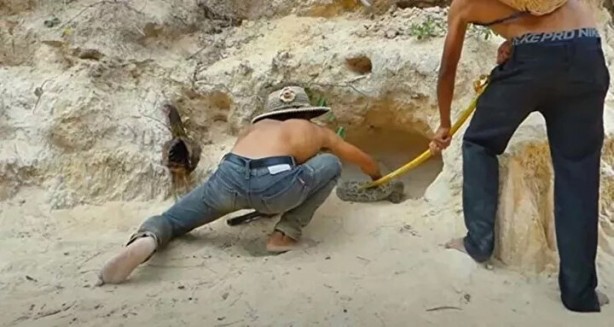 Foto - Sosyal medyayı sallayan anlar! Tavuğun inanılmaz mücadelesi