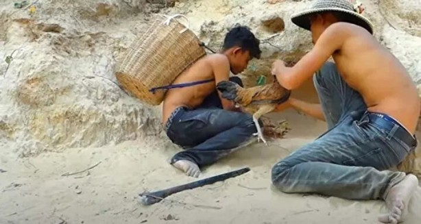 Foto - Sosyal medyayı sallayan anlar! Tavuğun inanılmaz mücadelesi