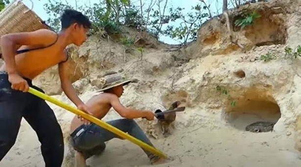 Foto - Sosyal medyayı sallayan anlar! Tavuğun inanılmaz mücadelesi