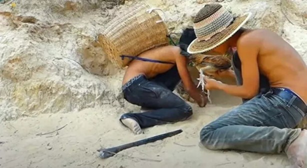 Foto - Sosyal medyayı sallayan anlar! Tavuğun inanılmaz mücadelesi