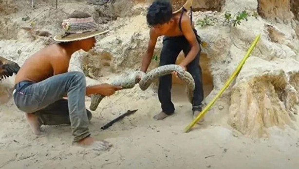Foto - Sosyal medyayı sallayan anlar! Tavuğun inanılmaz mücadelesi