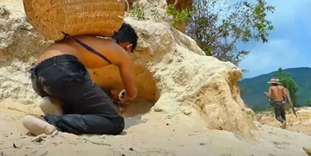 Foto - Sosyal medyayı sallayan anlar! Tavuğun inanılmaz mücadelesi