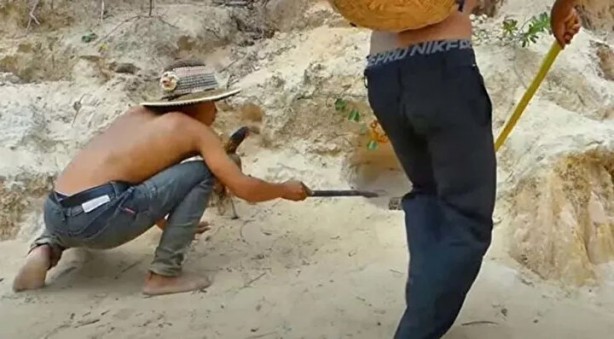 Foto - Sosyal medyayı sallayan anlar! Tavuğun inanılmaz mücadelesi