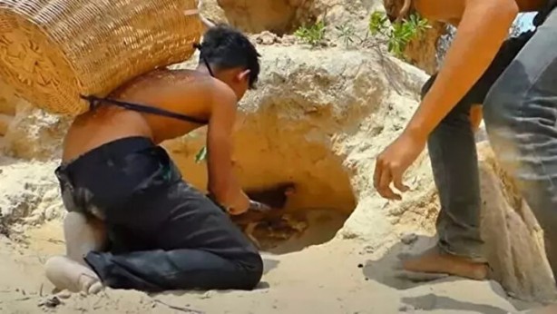 Foto - Sosyal medyayı sallayan anlar! Tavuğun inanılmaz mücadelesi