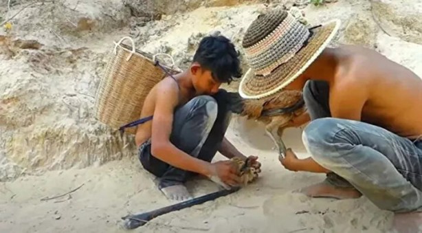 Foto - Sosyal medyayı sallayan anlar! Tavuğun inanılmaz mücadelesi