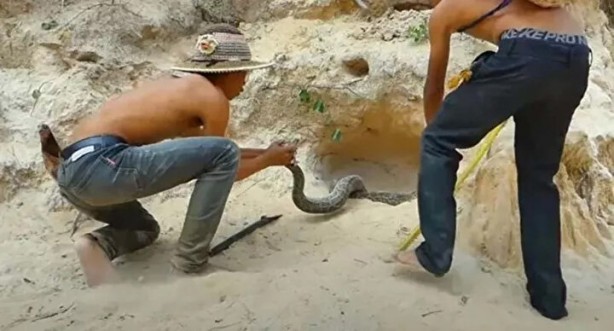 Foto - Sosyal medyayı sallayan anlar! Tavuğun inanılmaz mücadelesi