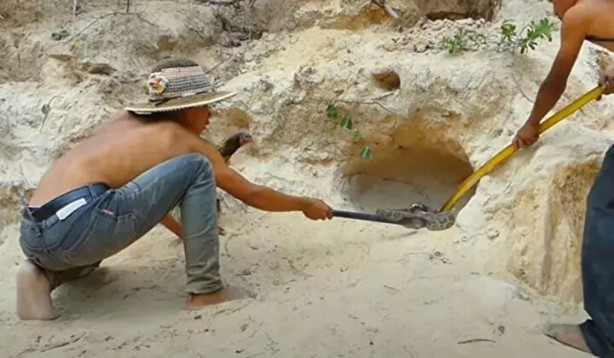 Foto - Sosyal medyayı sallayan anlar! Tavuğun inanılmaz mücadelesi