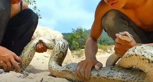 Foto - Sosyal medyayı sallayan anlar! Tavuğun inanılmaz mücadelesi