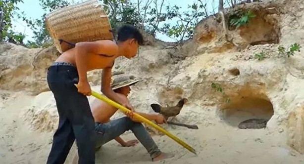 Foto - Sosyal medyayı sallayan anlar! Tavuğun inanılmaz mücadelesi