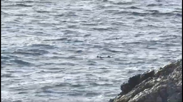 Foto - Söylentileri kaldıramayan babanın, denizin dibinde cesedi bulundu