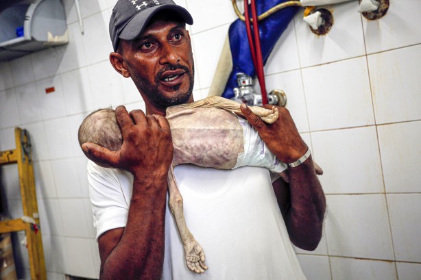 Foto - Soyun kurusun İsrail! Açlıktan ölen 7 aylık bebeğin son hali yürekleri dağladı