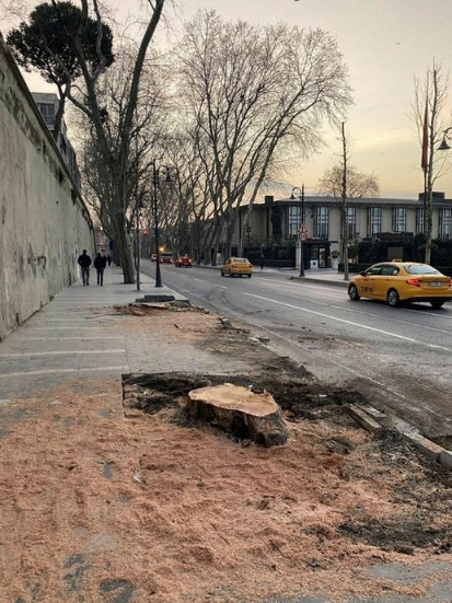 Foto - Sözce çevreci CHP’nin gerçek yüzü: En büyük ağaç ve doğa katliamını kendileri yaptılar!