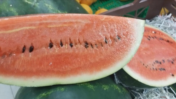 Foto - Sözcü ve Cumhuriyet’e müjde! Dilim karpuz geldi başlasın algı