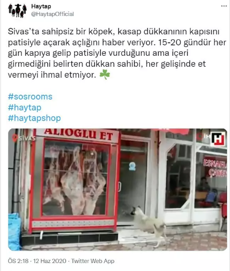 Foto - Sözde 'hayvan federasyonu' İslam’ı ve Kurban Bayramı’nı hedef aldı! Yine boş durmadılar
