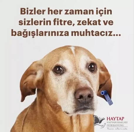 Foto - Sözde 'hayvan federasyonu' İslam’ı ve Kurban Bayramı’nı hedef aldı! Yine boş durmadılar