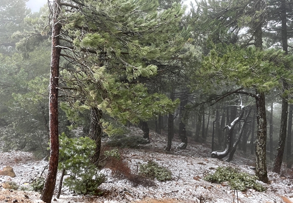 Foto - Spil Dağı'na nisan ayında kar yağdı