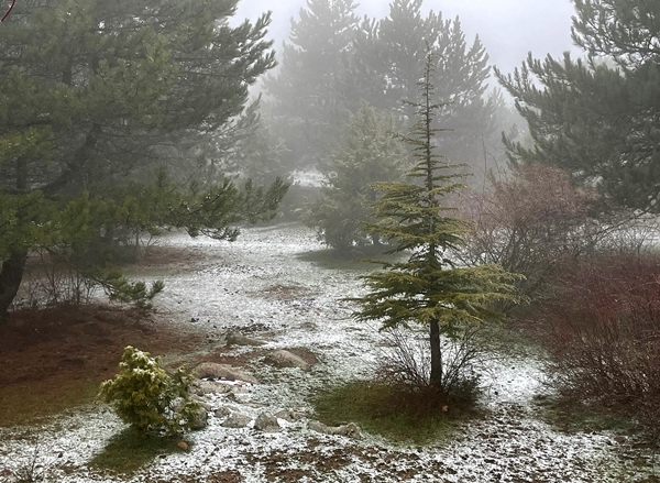 Foto - Spil Dağı'na nisan ayında kar yağdı