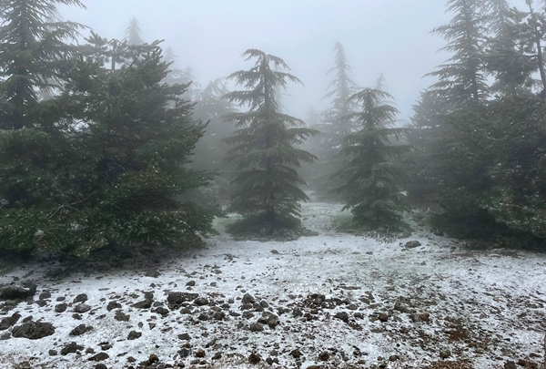 Foto - Spil Dağı'na nisan ayında kar yağdı