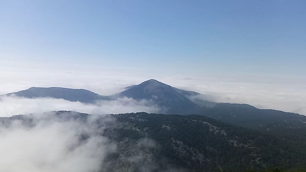 Foto - Spil Dağı'nı bulutlar yuttu