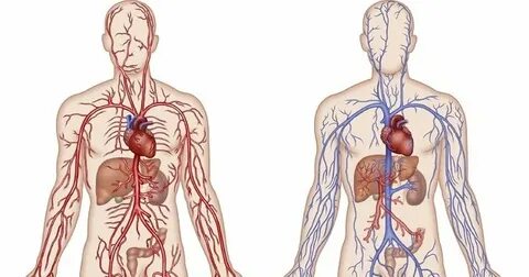 Foto - Spor yaparken kalbi yormamak için 8 önemli kural!