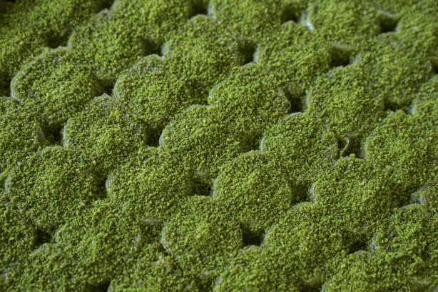 Foto - Standartta değişikliğe gidildi! Türk baklavasının şekeri düştü!