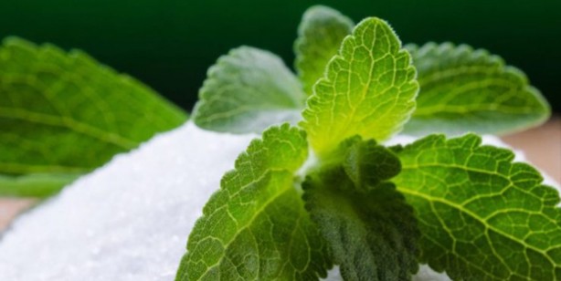 Foto - Stevia bitkisi nedir, nerelerde kullanılır? Stevia bitkisinin faydaları ve yan etkileri neler?