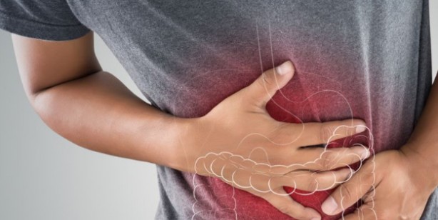 Foto - Stevia bitkisi nedir, nerelerde kullanılır? Stevia bitkisinin faydaları ve yan etkileri neler?