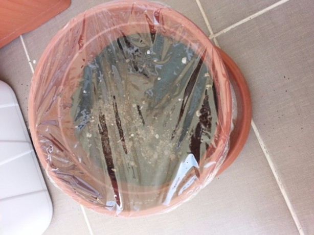 Foto - Streç filmle yapabilecekleriniz sınırsız!