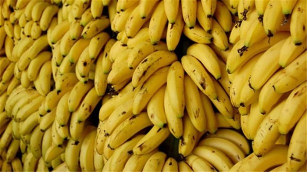 Foto - Stres savaşçısı meyve: Muz