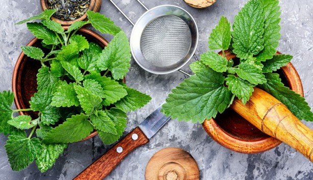 Foto - Stres vücudu mahvediyor! İşte önüne geçmenin yolları